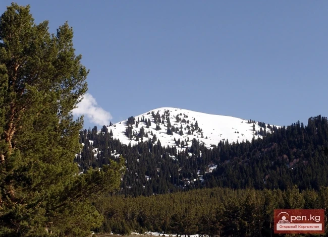 Кыргызстандын тоолору. Сүрөт  Влад Ушаков