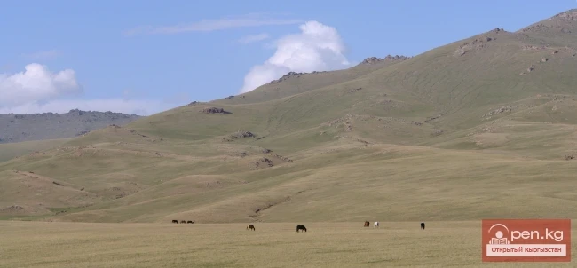Кыргызстандын тоолору. Сүрөт  Влад Ушаков