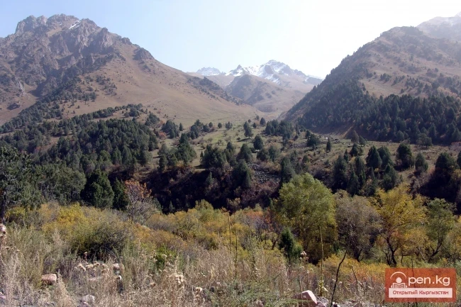 Кыргызстандын тоолору. Сүрөт  Влад Ушаков