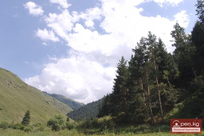 Кыргызстандын тоолору. Сүрөт  Влад Ушаков