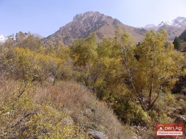 Кыргызстандын тоолору. Сүрөт  Влад Ушаков