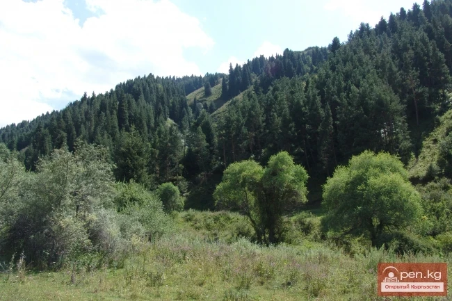 Кыргызстандын тоолору. Сүрөт  Влад Ушаков