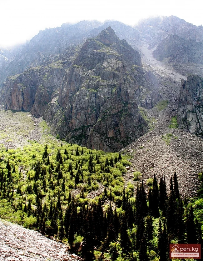 Кыргызстандын тоолору. Сүрөт  Влад Ушаков