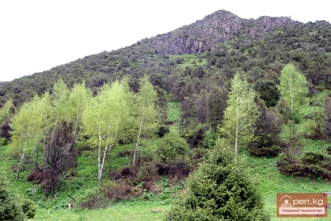 Кыргызстандын тоолору. Сүрөт  Влад Ушаков