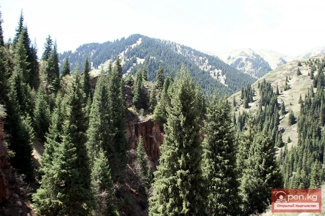 Кыргызстандын тоолору. Сүрөт  Влад Ушаков