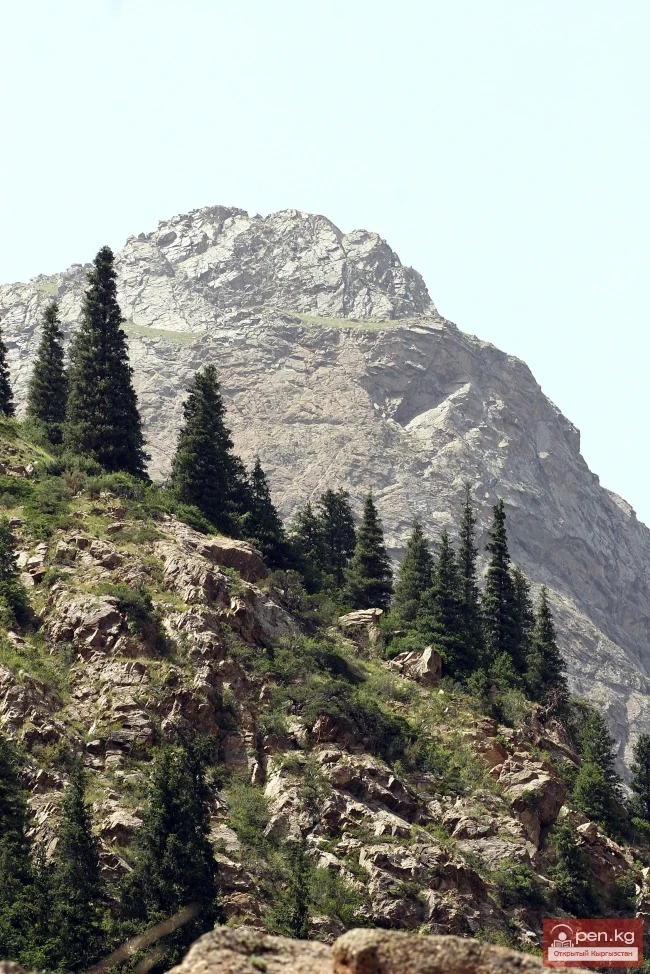 Кыргызстандын тоолору. Сүрөт  Влад Ушаков