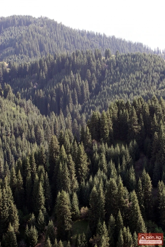 Кыргызстандын тоолору. Сүрөт  Влад Ушаков