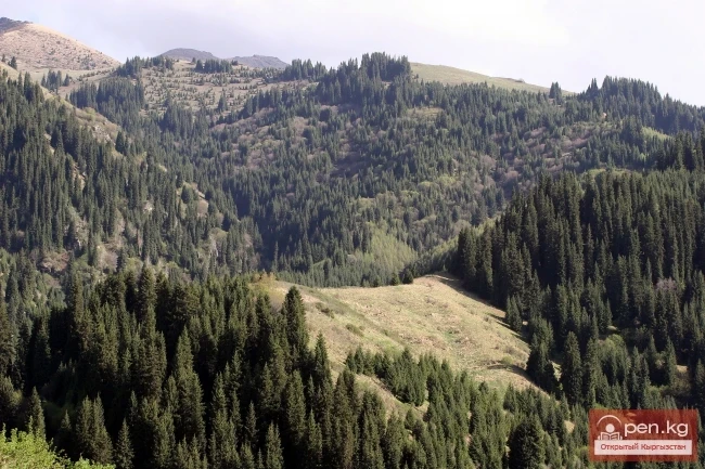 Кыргызстандын тоолору. Сүрөт  Влад Ушаков