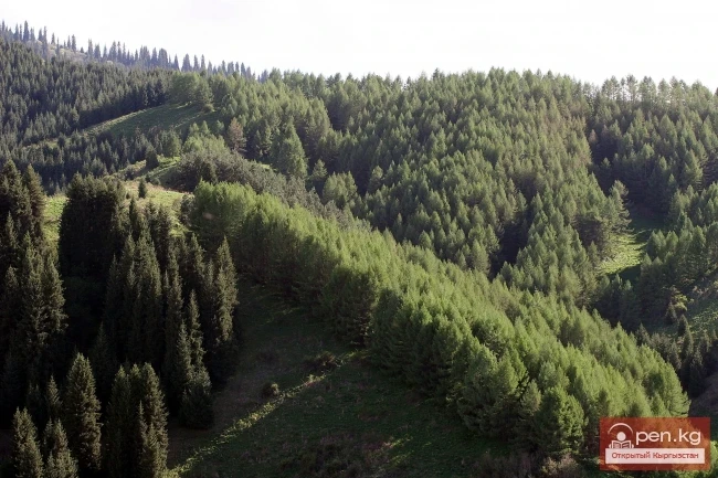 Кыргызстандын тоолору. Сүрөт  Влад Ушаков