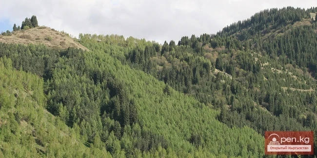 Кыргызстандын тоолору. Сүрөт  Влад Ушаков