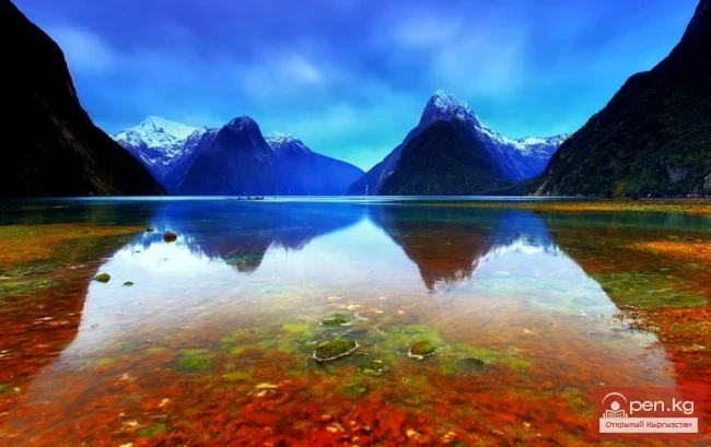 Жаңы Зеландия