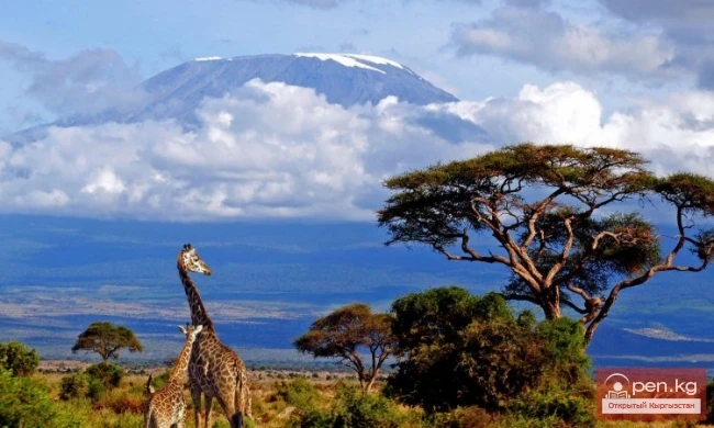 United Republic of Tanzania