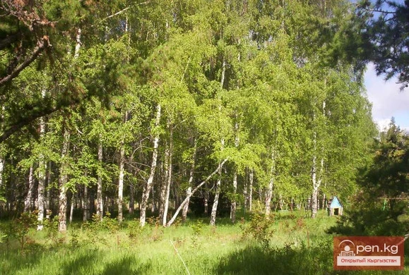 Пансионат Асыл