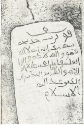 Кайраки Теңиз Иссык-Кульдун түндүк жээгинен