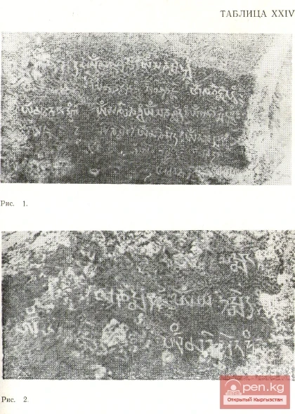 Две тибетские надписи из ущелья Джууку