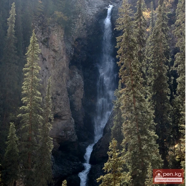 Слезы Барса шаркыратмасы