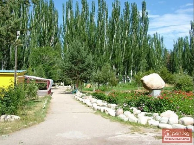 Детский оздоровительный лагерь "Чайка"