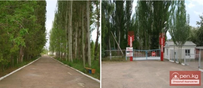 Дом отдыха «Камвольщик».