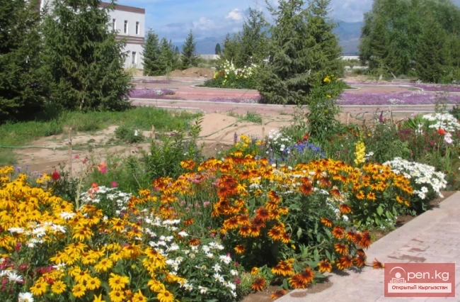 Recreation Center "Fountain"