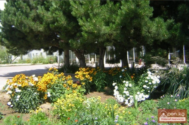 Recreation Center "Fountain"