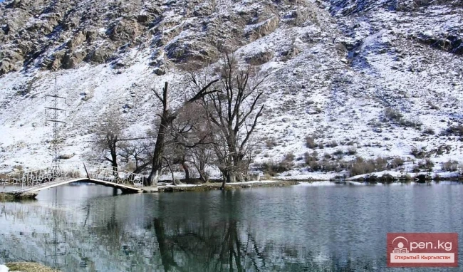 Озон Джидалик