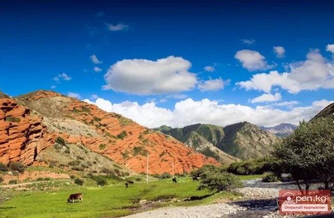 Эки тибет жазуусу Джууку капчыгайынан