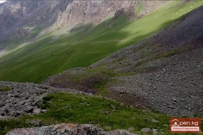 Тибетские и калмыцкие надписи из Ак-Улена