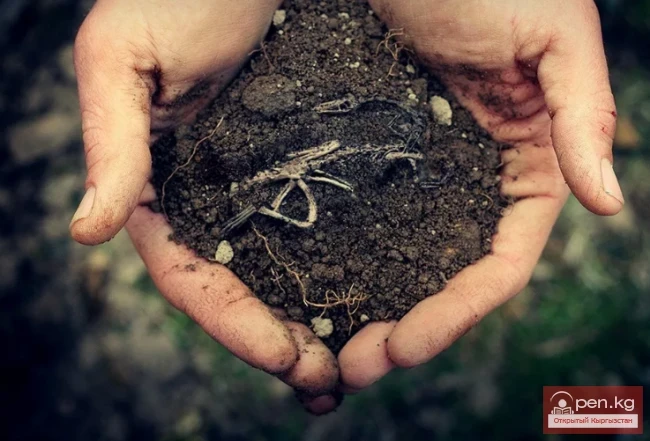 Сүйүү жана өзүн-өзү курмандыкка чалуу