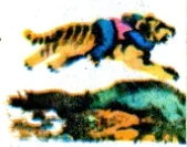 Баатыр Чилтен жөнүндө жомок. 1-2 бөлүм