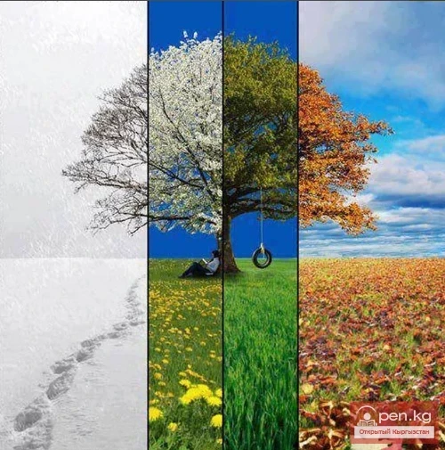 Water is more precious than gold