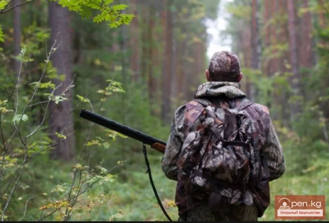 Мудрость приходит с годами