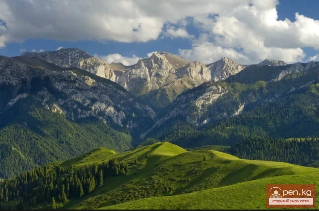 Мудрость приходит с годами