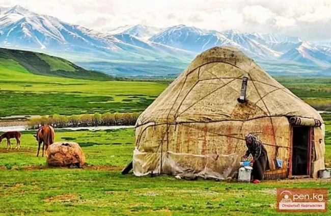 Wisdom Comes with Age