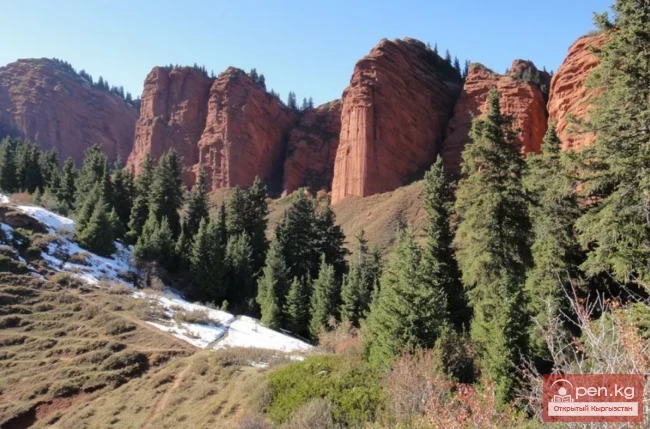 Ысык-Көл мамлекеттик коругу