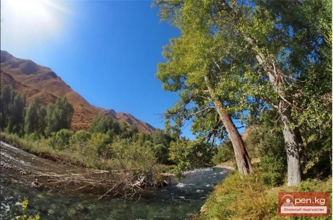 Беш-Аральский Государственный Заповедник