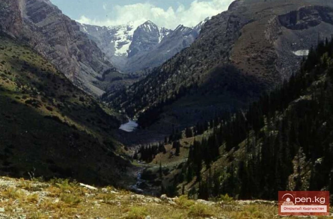 Besh-Aral State Reserve