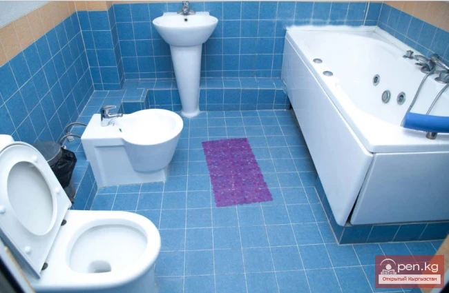 Hotel "Dolphin De Luxe"