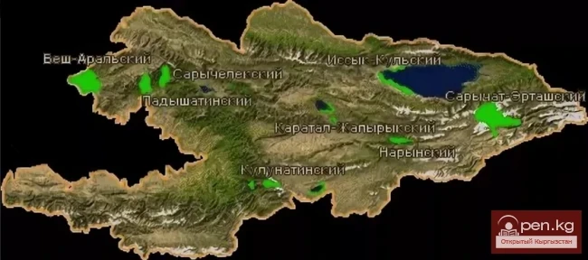 Каратал-Жапырык мамлекеттик коругу