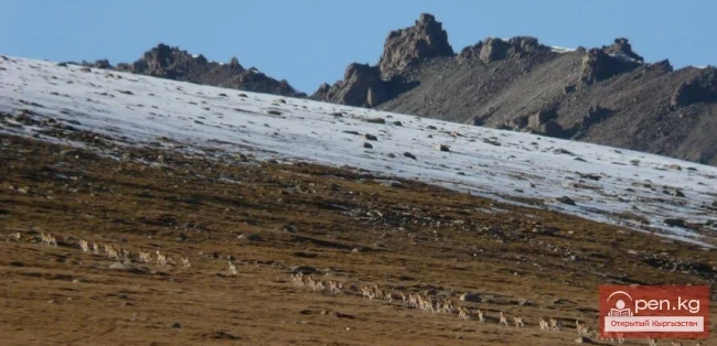 Сарычат-Эрташ мамлекеттик коругу