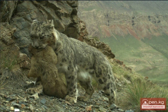 Сарычат-Эрташ мамлекеттик коругу