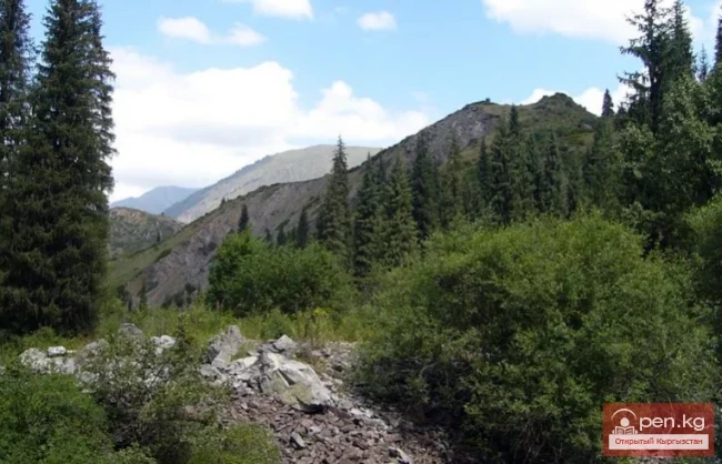 Сарычат-Эрташ мамлекеттик коругу