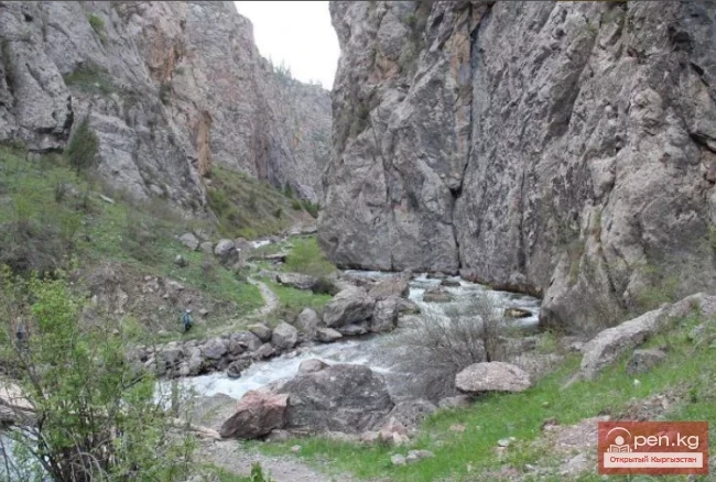 Падышатинский Государственный Заповедник