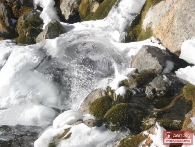 Падышатинский Государственный Заповедник