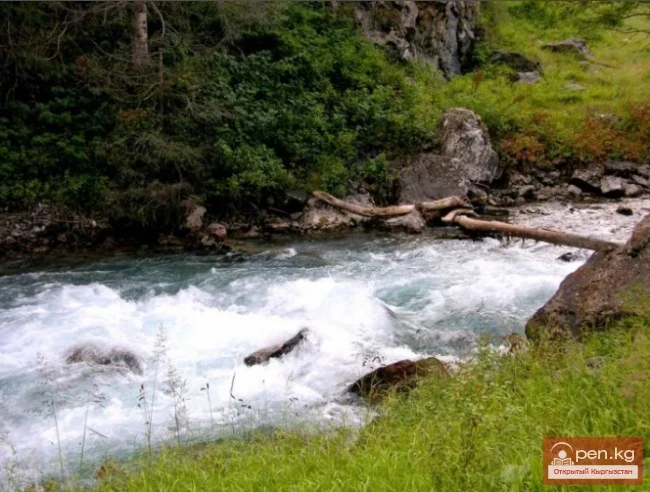 Падышатинский Государственный Заповедник