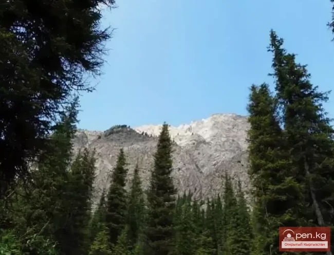 Падышатинский Государственный Заповедник