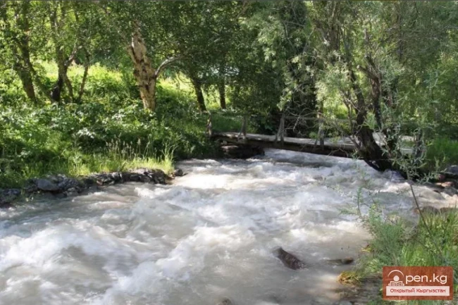 Табигый парк «Кара-Шоро»