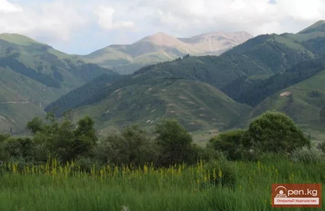 Мамлекеттик табигый парк «Чон-Кемин»