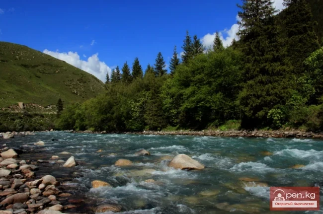 Мамлекеттик табигый парк «Чон-Кемин»