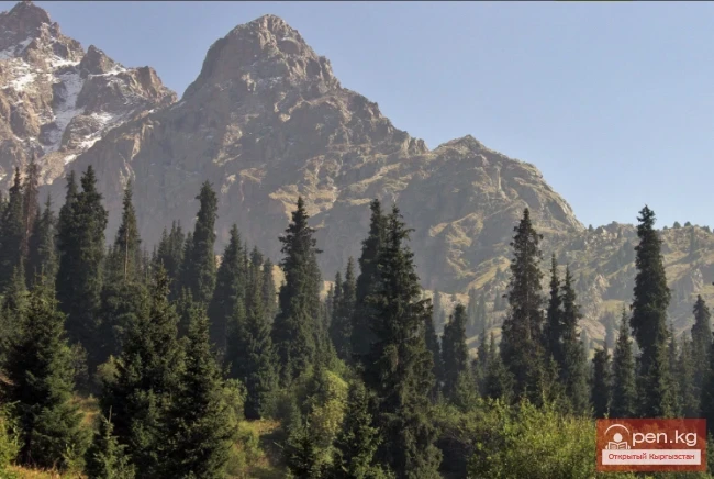 Мамлекеттик табигый парк «Чон-Кемин»