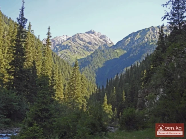 Мамлекеттик табигый улуттук парк «Салкын-Тор»